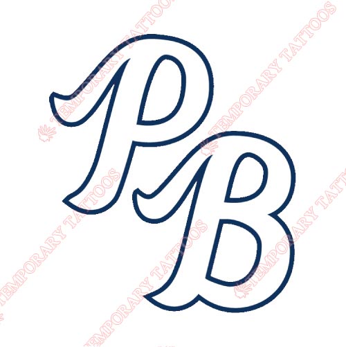 Palm Beach Cardinals Customize Temporary Tattoos Stickers NO.7917